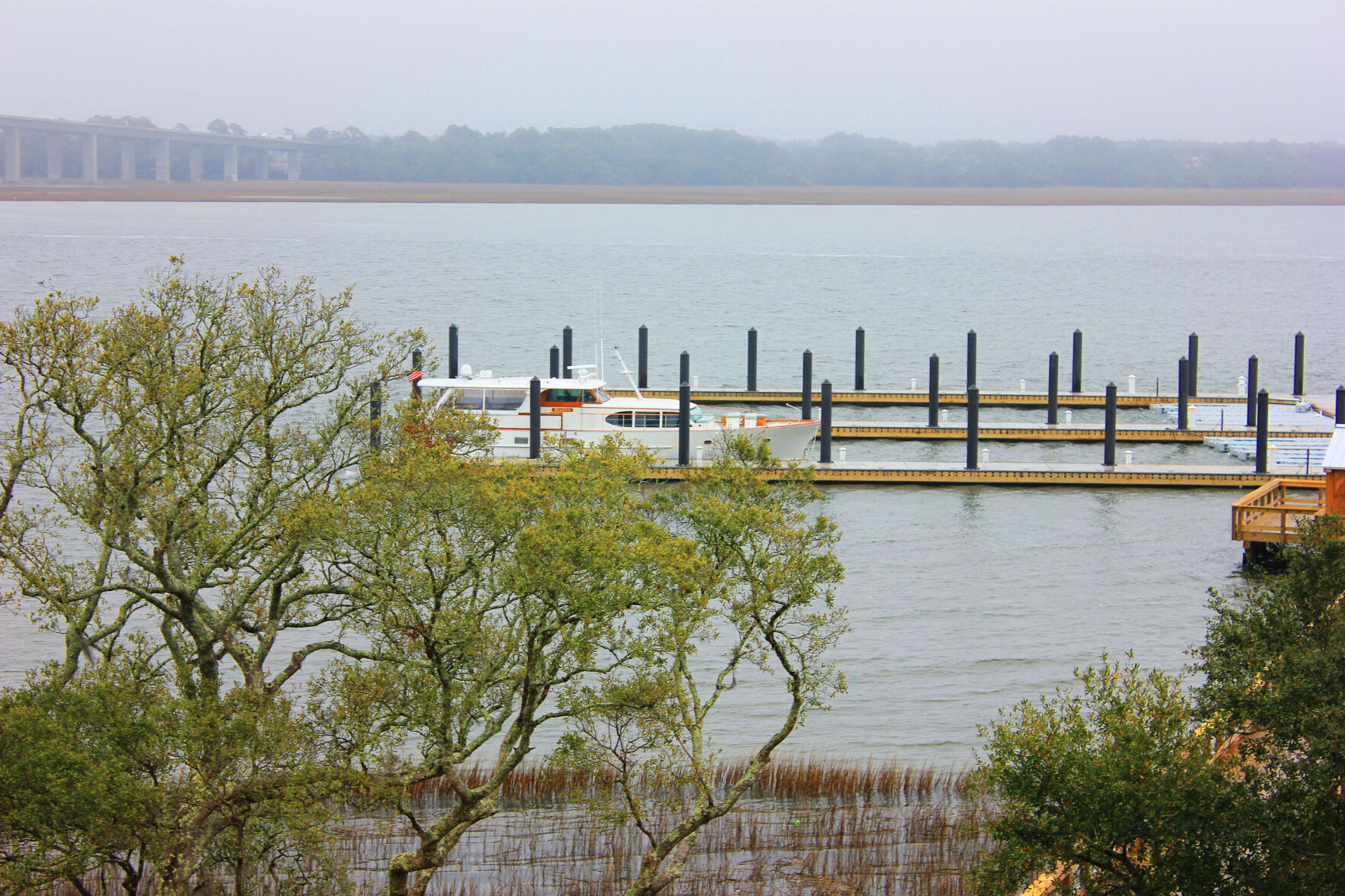 Heron Condo View